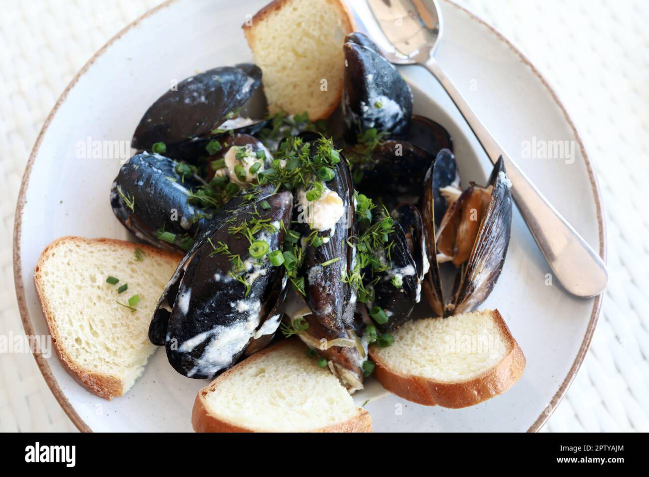 Moules de la mer Noire avec herbes sur l'assiette du restaurant Banque D'Images