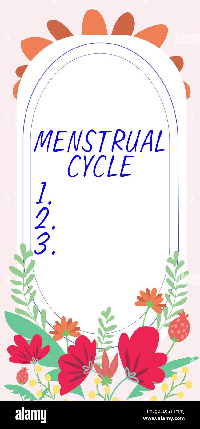 Signe de texte montrant le cycle menstruel, concept signifiant cycle mensuel des changements dans les ovaires et la doublure de l'utérus Banque D'Images