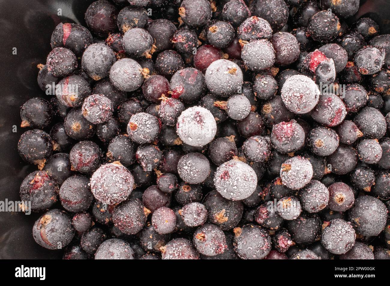 Cassis gelé, macro, vue de dessus. Banque D'Images
