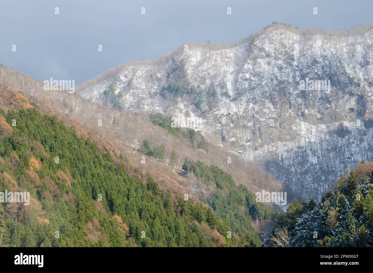 Paysage dans le parc national Joshinetsu Kogen. Région de Chubu. Japon. Banque D'Images