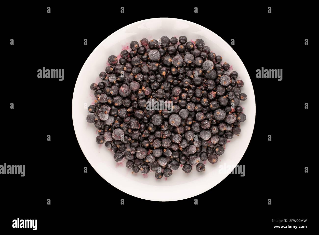 Cassis gelé avec plaque blanche sur fond noir, macro, vue de dessus. Banque D'Images