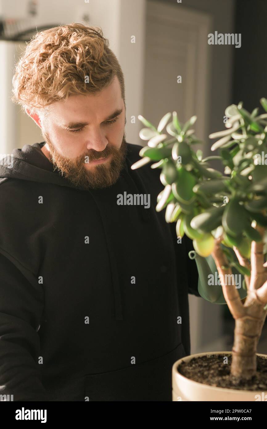 Homme arrosant la maison succulente par l'arrosage peut à la maison - le travail à la maison et le concept d'usine de soin Banque D'Images