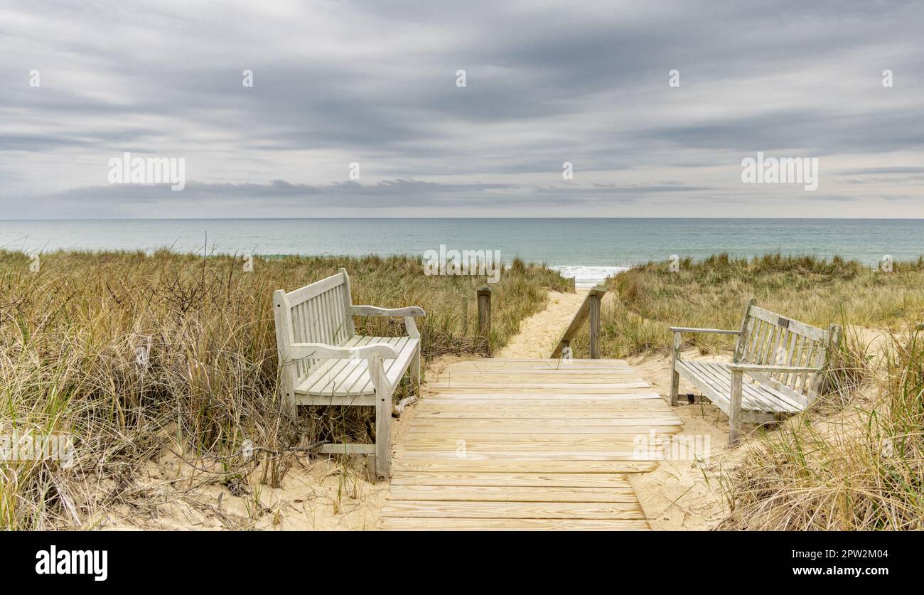 Deux bancs en face et une promenade vers l'océan à Amagansett, NY Banque D'Images