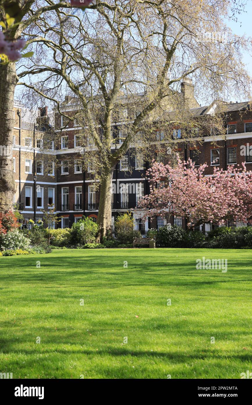 Manchester Square, une jolie place de jardin datant de 18th ans, au nord d'Oxford Street, Londres, Royaume-Uni Banque D'Images