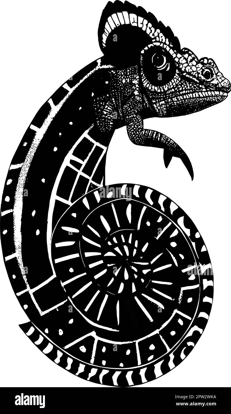 dessin de contour noir d'un gros plan caméléon, graphiques monochromes, logo, tatouage Banque D'Images