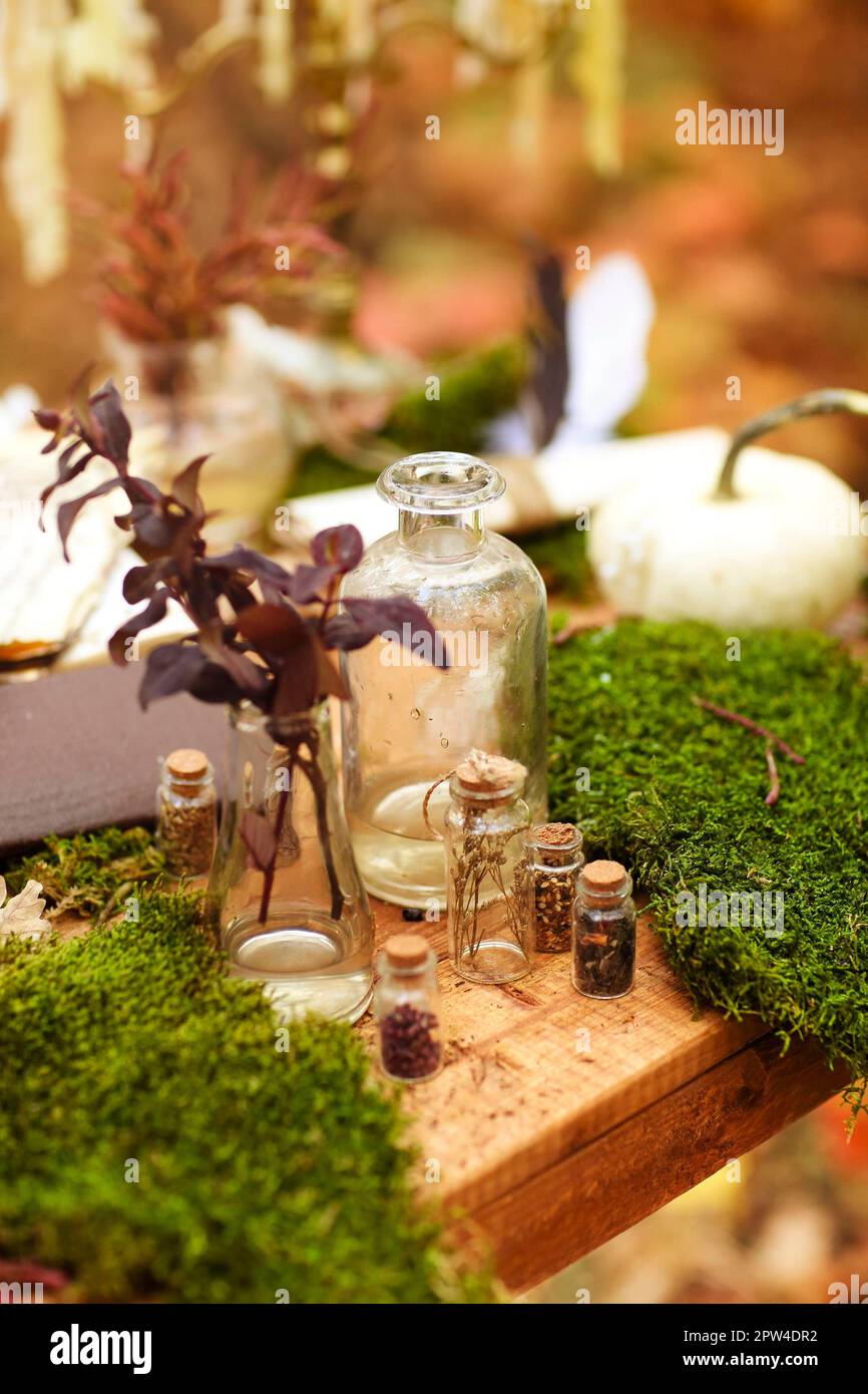 Mise au point douce de la composition de petites bouteilles en verre et de diverses plantes placées sur une table en bois Banque D'Images