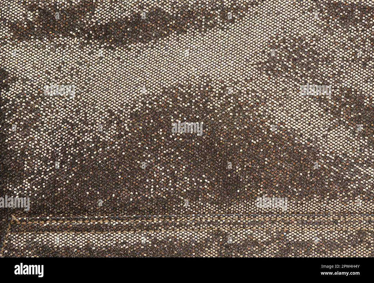 Toile dorée scintillante, cadre intégral Banque D'Images