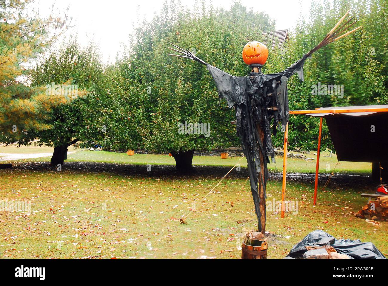 En automne, une tête de citrouille se trouve au-dessus d'une arnaque pour servir de décorations d'Halloween d'automne dans Sleepy Hollow, New York Banque D'Images