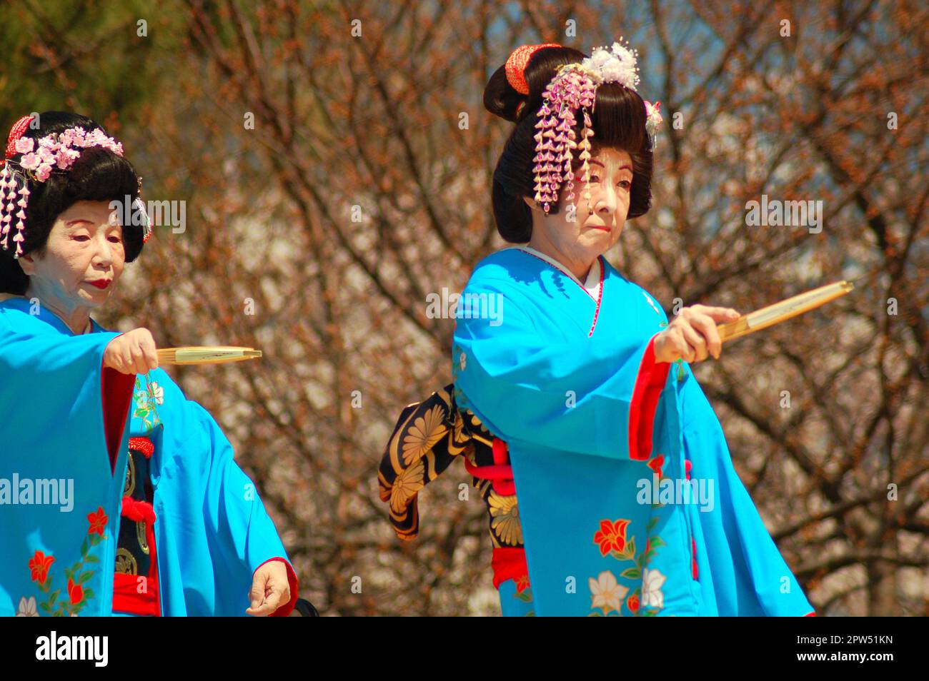 Deux femmes en robe japonaise traditionnelle, montrant la danse de mariage pour un public lors d'un festival de cerisiers en fleurs de sakura Banque D'Images