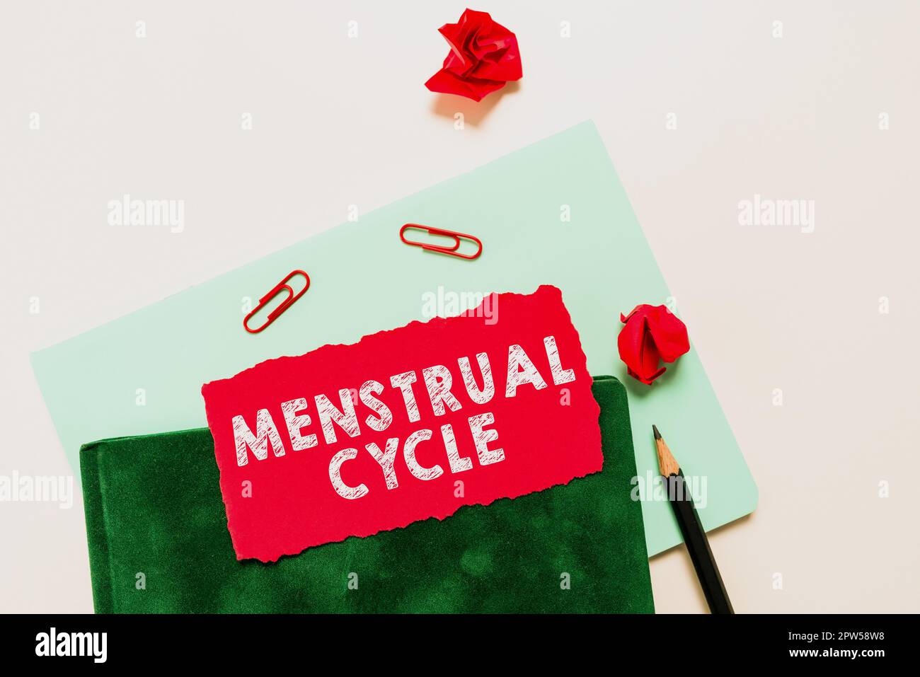 Écriture affichant le texte cycle menstruel, concept Internet cycle mensuel des changements dans les ovaires et la doublure de l'utérus Banque D'Images