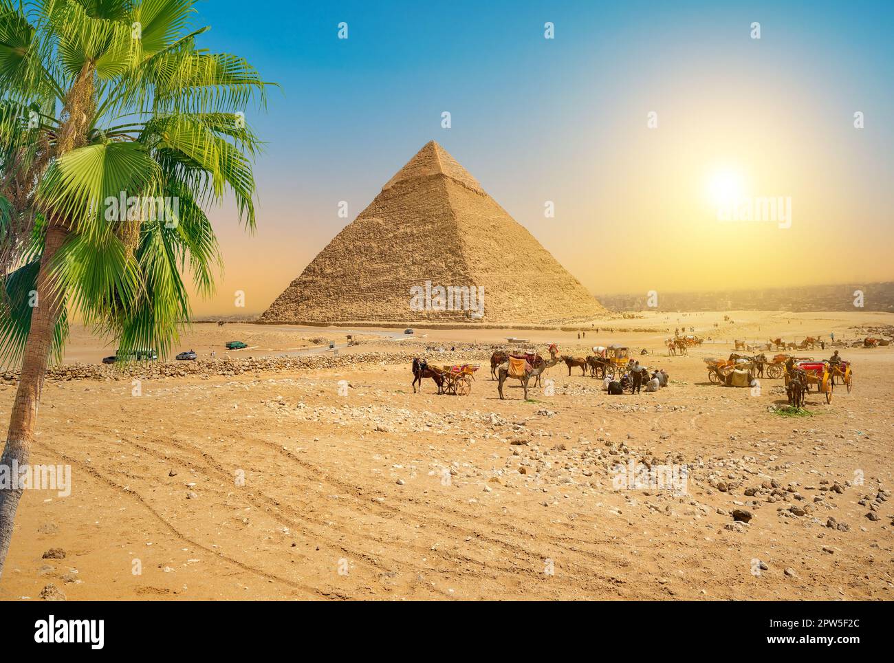 Désert de sable en Egypte au coucher du soleil Banque D'Images