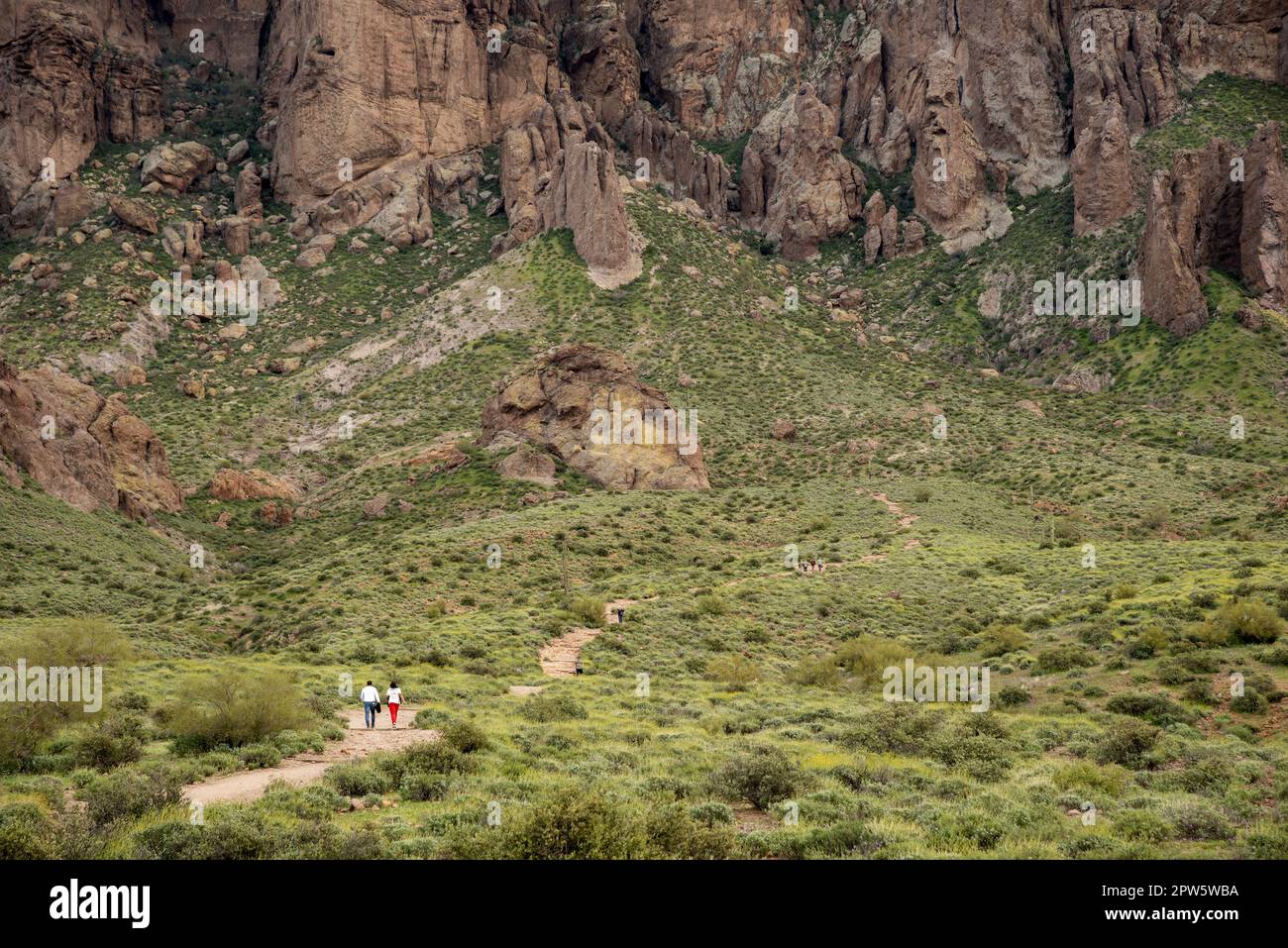 Couple randonnée au parc national Lost Dutchman, Arizona. Banque D'Images