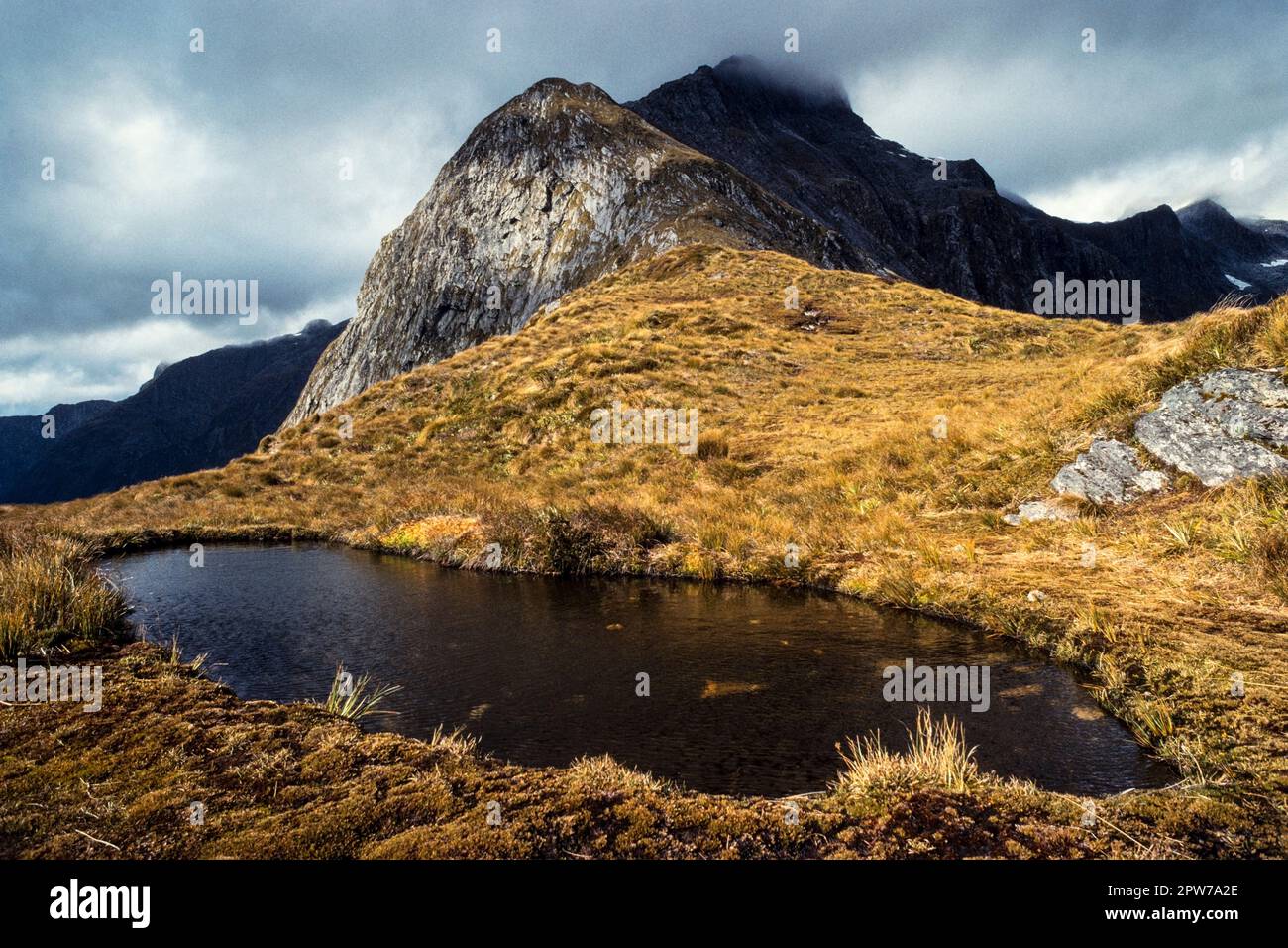 Tarn sur la piste Milford, col Omanui / McKinnon, parc national Fiordland, Île du Sud, Nouvelle-Zélande Banque D'Images