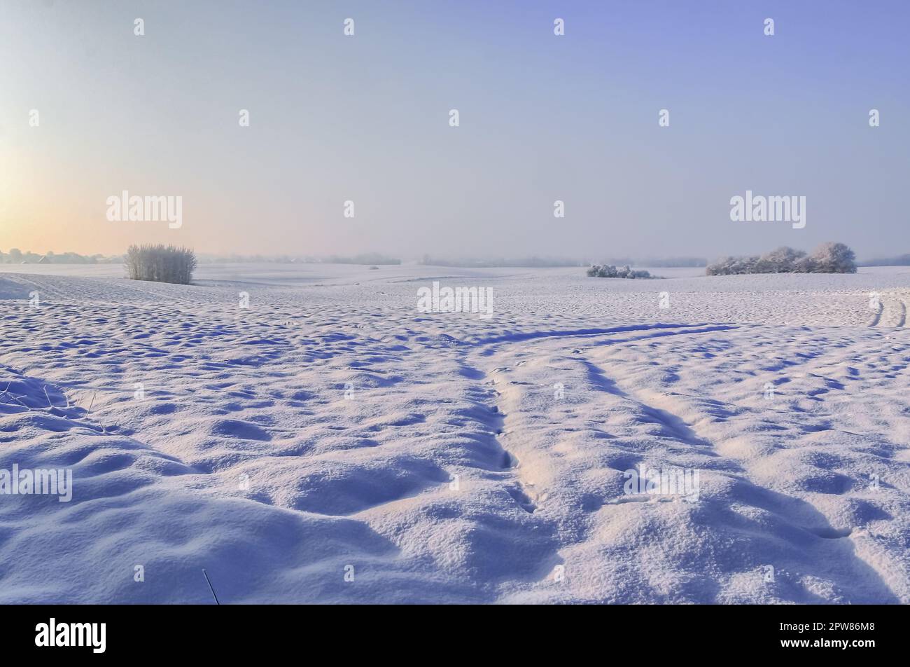 Une parcelle de terre agricole blanche recouverte de neige en hiver par une journée ensoleillée Banque D'Images