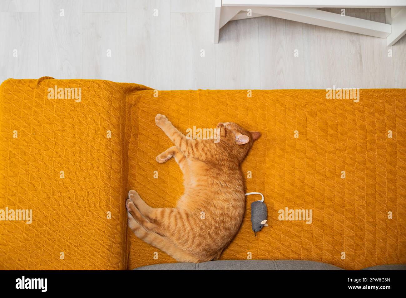 Red Cat dort sur un canapé jaune avec une souris à la maison. Banque D'Images
