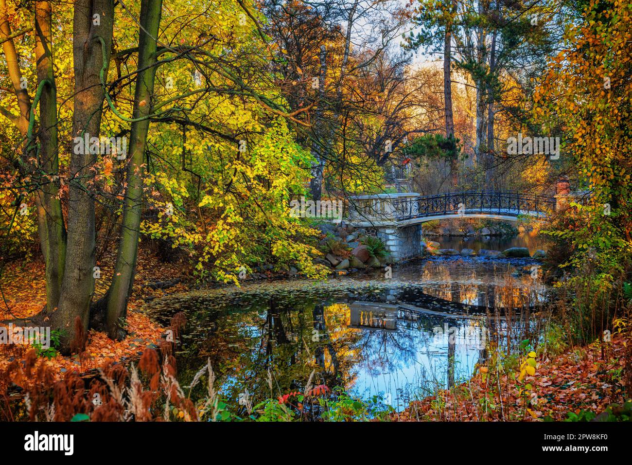 Parc Ujazdów (parc Ujazdowski) paysage d'automne avec étang et passerelle dans la ville de Varsovie, Pologne. Banque D'Images