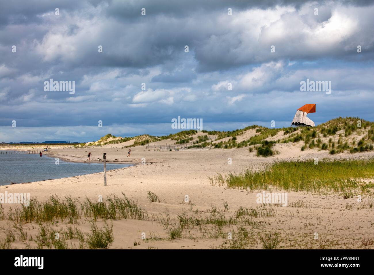 Pays-Bas, Lelystad, le Marker Wadden, archipel artificiel du lac Markermeer. Réserve naturelle composée de 7 îles. Plage, hibir Banque D'Images