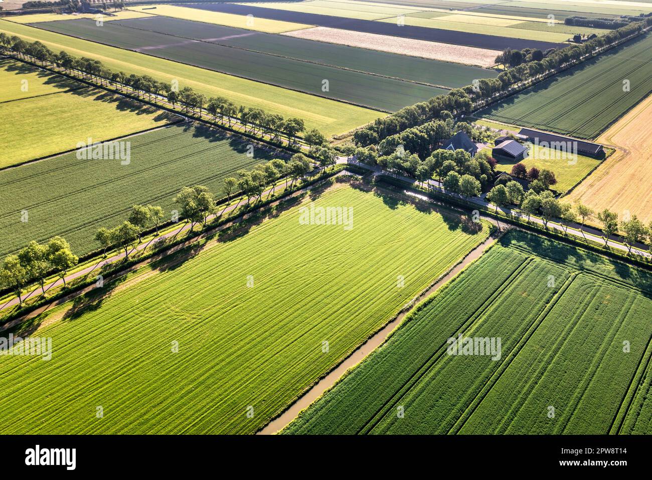 Pays-Bas, Noordbeemster, terres agricoles. Vue aérienne. POLDER de Beemster. Patrimoine mondial de l'UNESCO. Banque D'Images