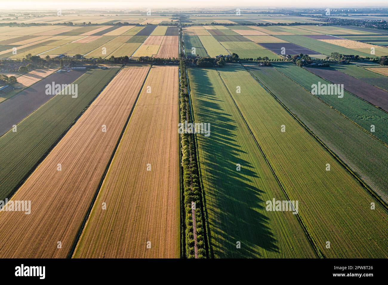 Pays-Bas, Noordbeemster, terres agricoles. Vue aérienne. POLDER de Beemster. Patrimoine mondial de l'UNESCO. Banque D'Images