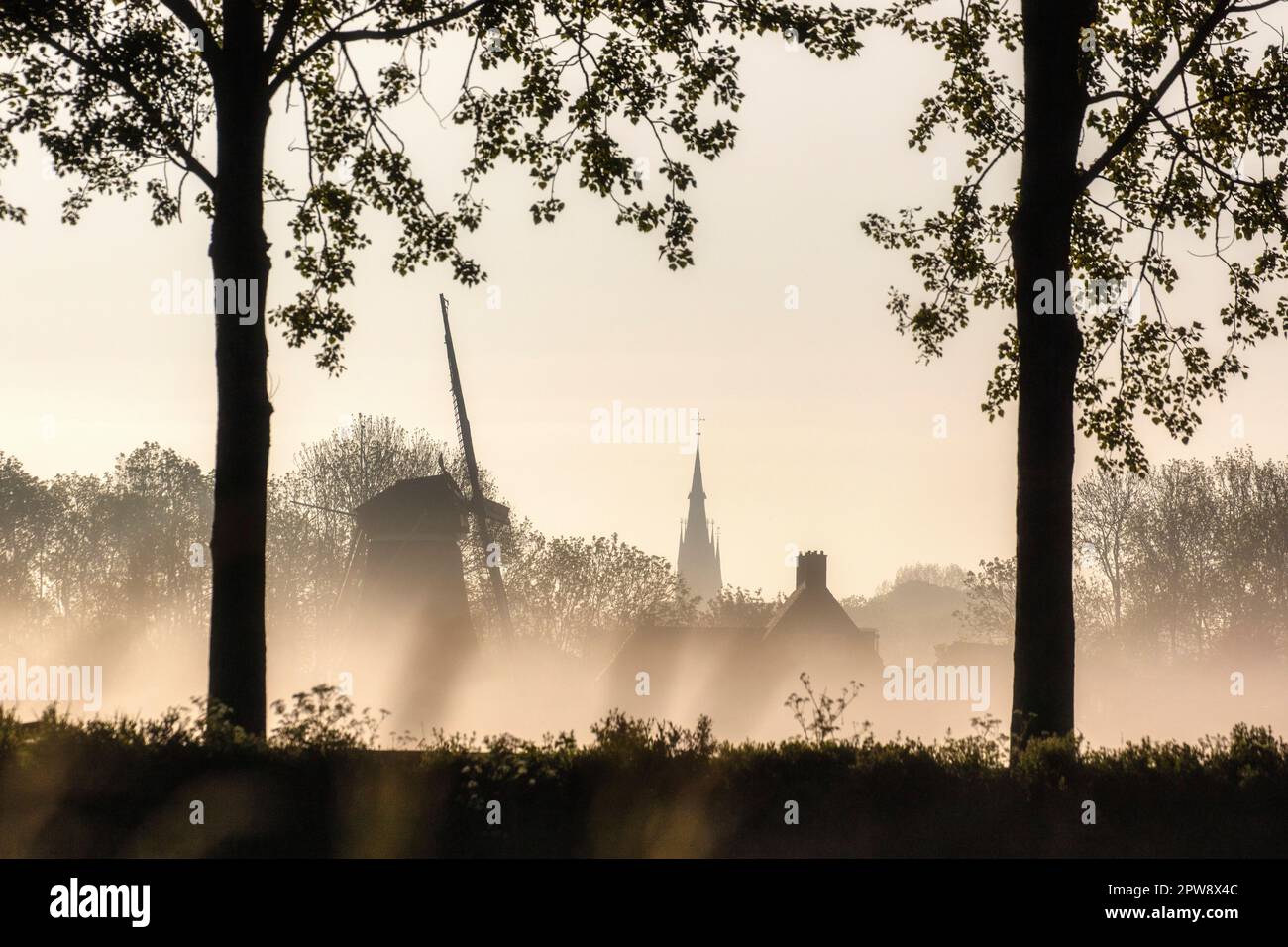 Pays-Bas, Nigtevecht. Horizon et moulin à vent le long de la rivière Vecht, lever du soleil. Brume. Banque D'Images
