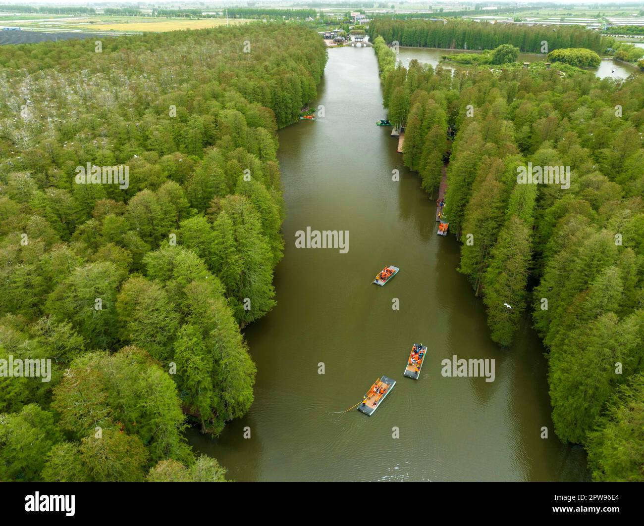 TAIZHOU, CHINE - le 29 AVRIL 2023 - les touristes aériens font un radeau de bambou pour jouer dans la forêt aquatique de Lizhong du parc national des terres humides de Xiahe à Taizhou, province de Jiangsu, Chine, 29 avril 2023. (Photo de CFOTO/Sipa USA) crédit: SIPA US/Alay Live News Banque D'Images