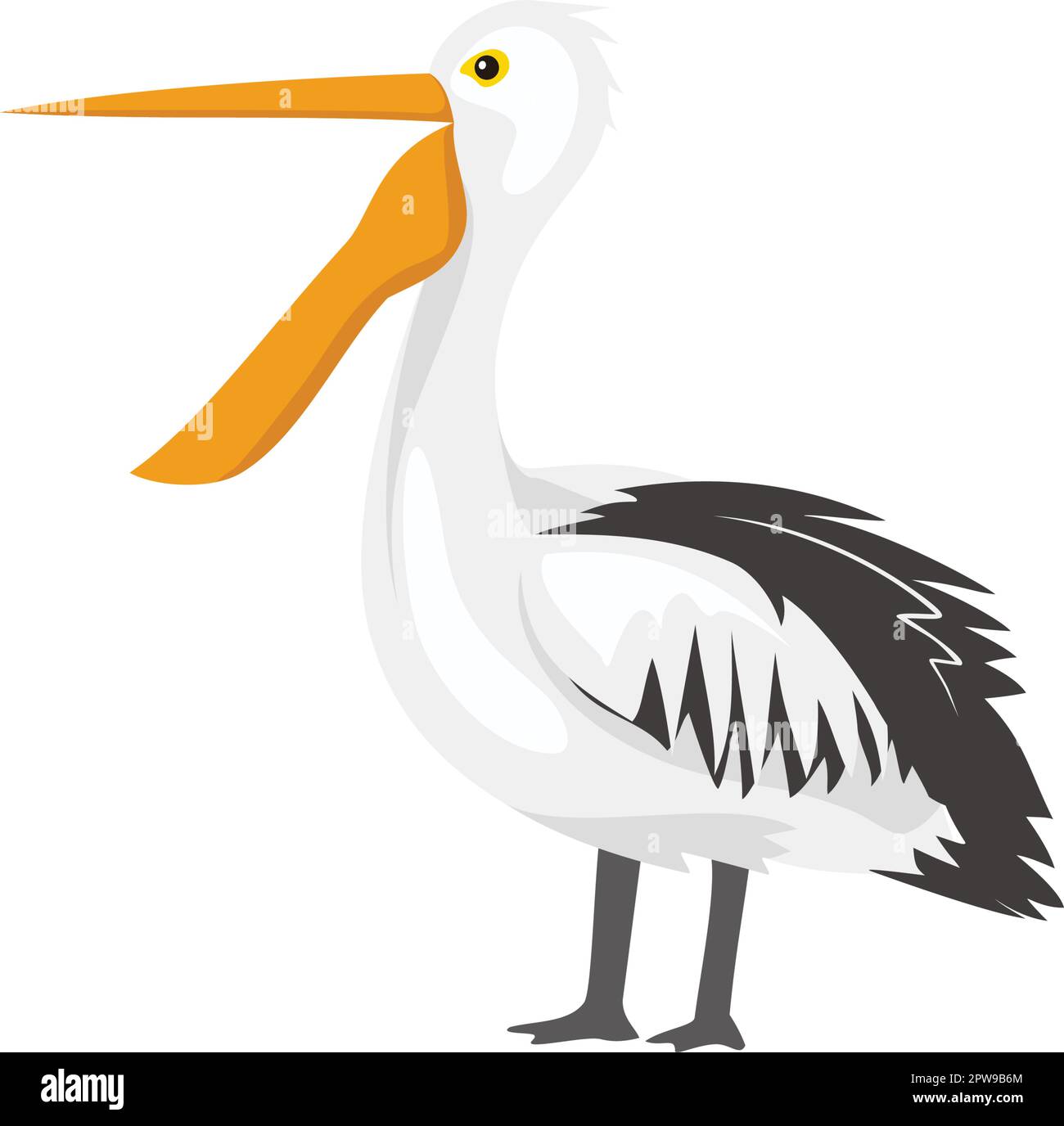 Vue latérale Pelican debout avec bouche ouverte Illustration Illustration de Vecteur