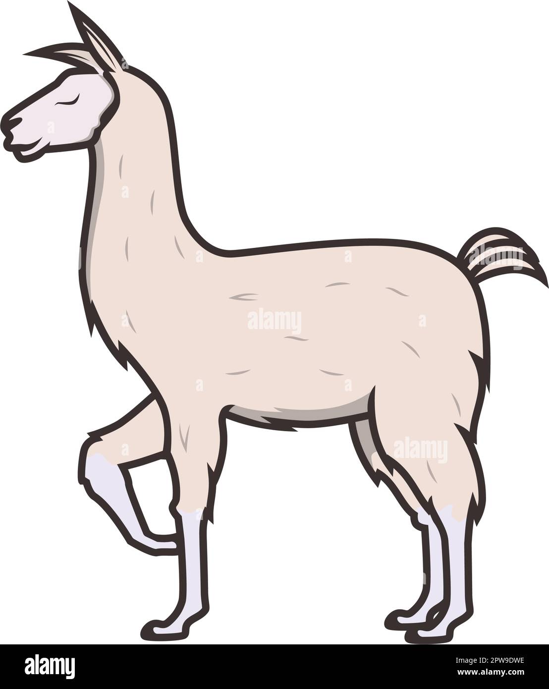 Illustration détaillée de Llama avec mouvement debout Illustration de Vecteur