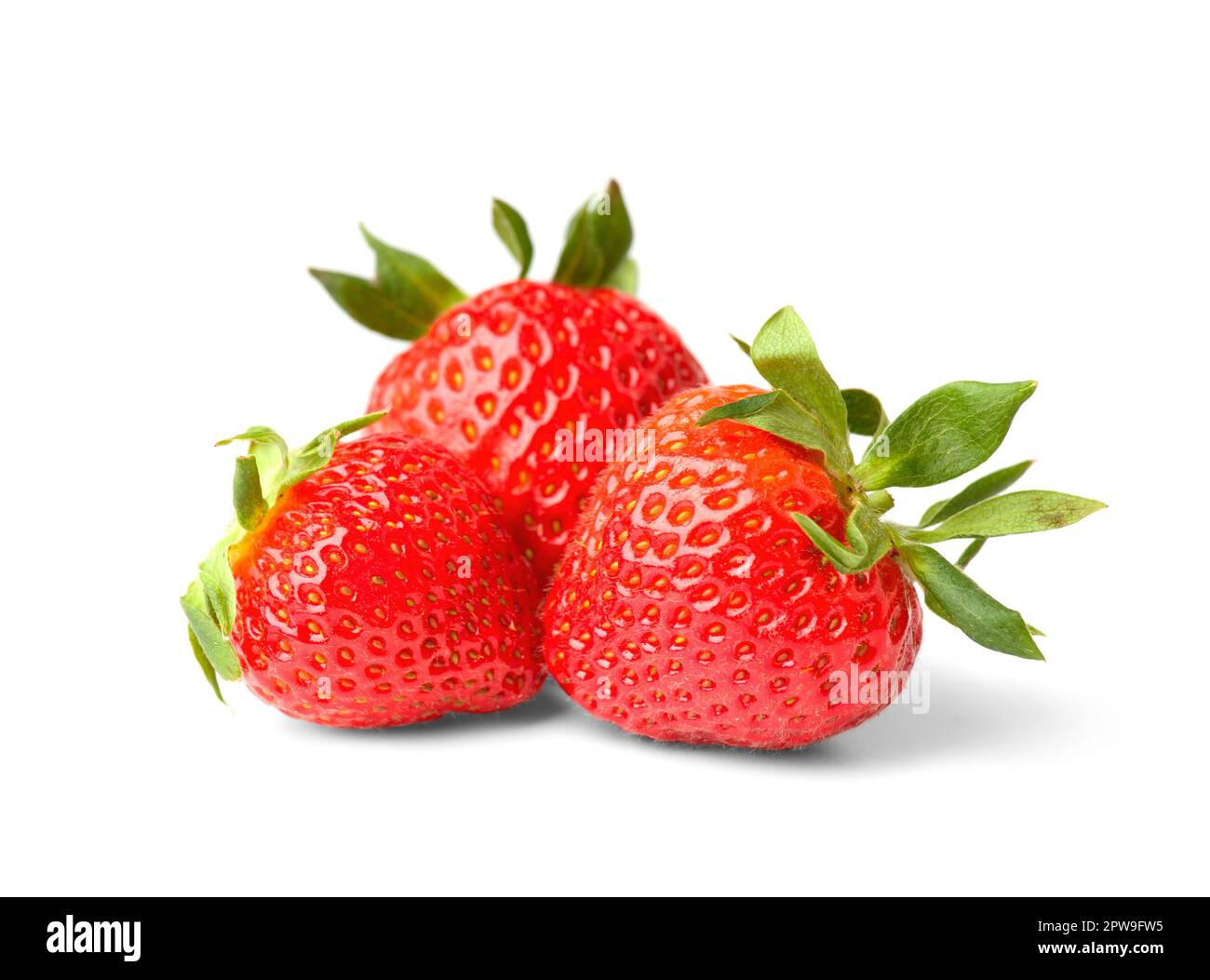 Fruits de fraise isolés. Grandes fraises rouges fraîches sur fond blanc. Banque D'Images