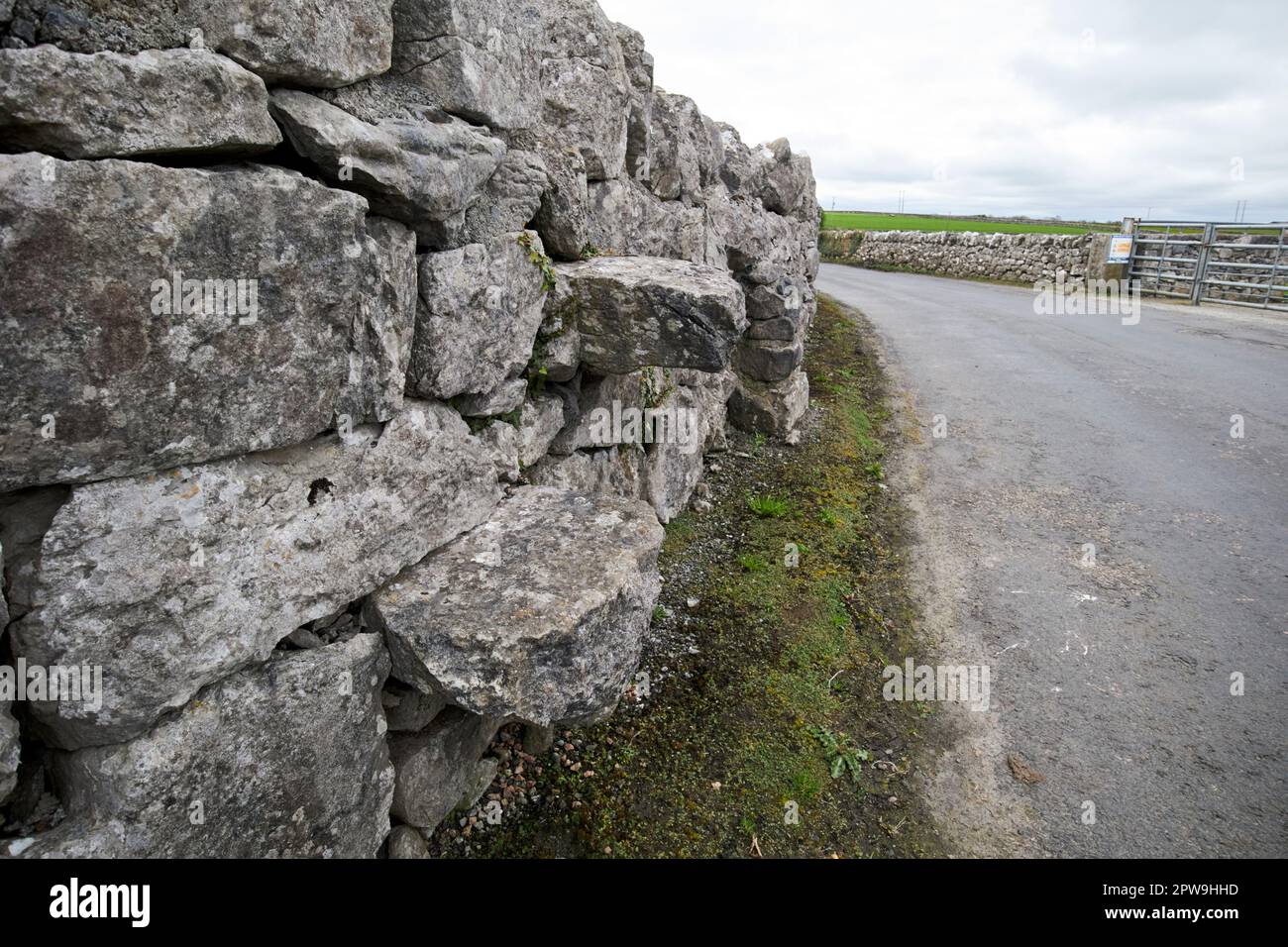 Marches construites dans le mur en pierre sèche du monastère de Kilmacduagh comté de galway république d'irlande Banque D'Images