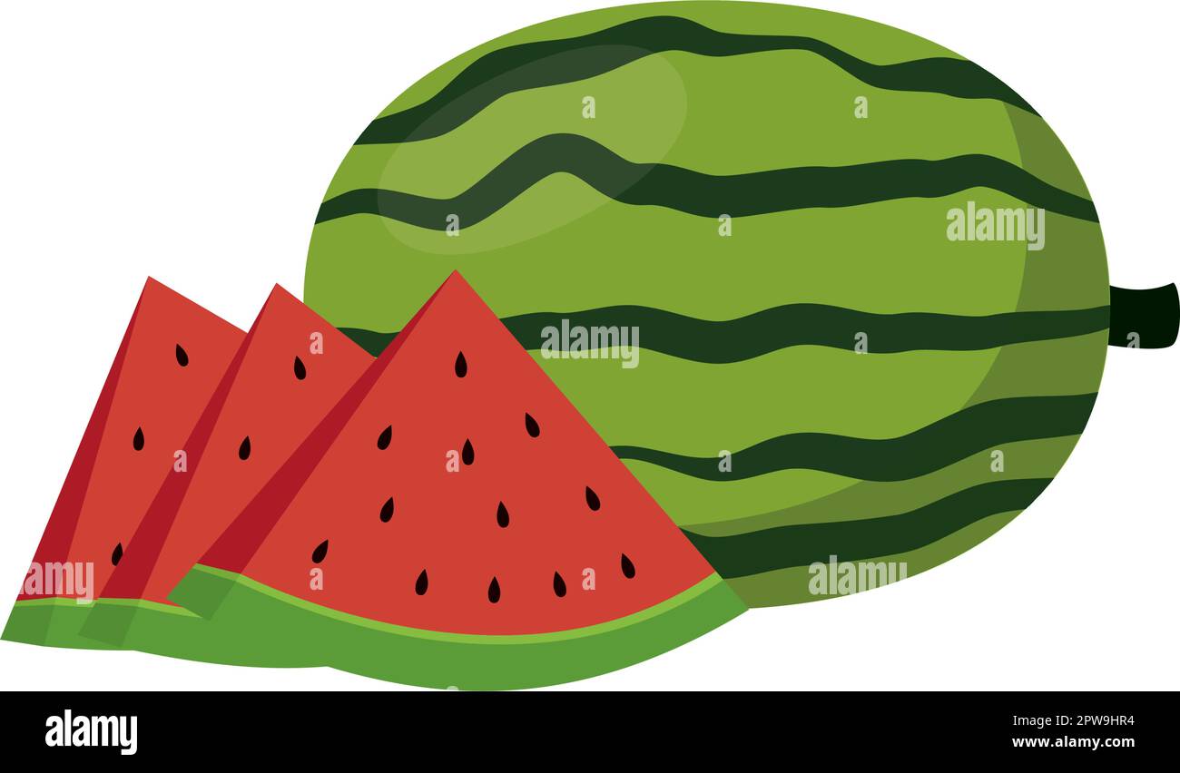 Pastèque détaillée avec les tranches Illustration Illustration de Vecteur