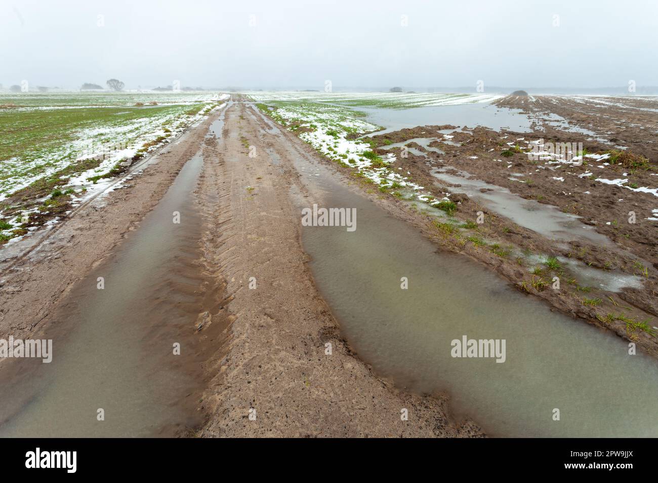 Flaques sur la route de la terre à travers les champs avec la neige, l'eau et la boue, Czulczyce, Pologne Banque D'Images