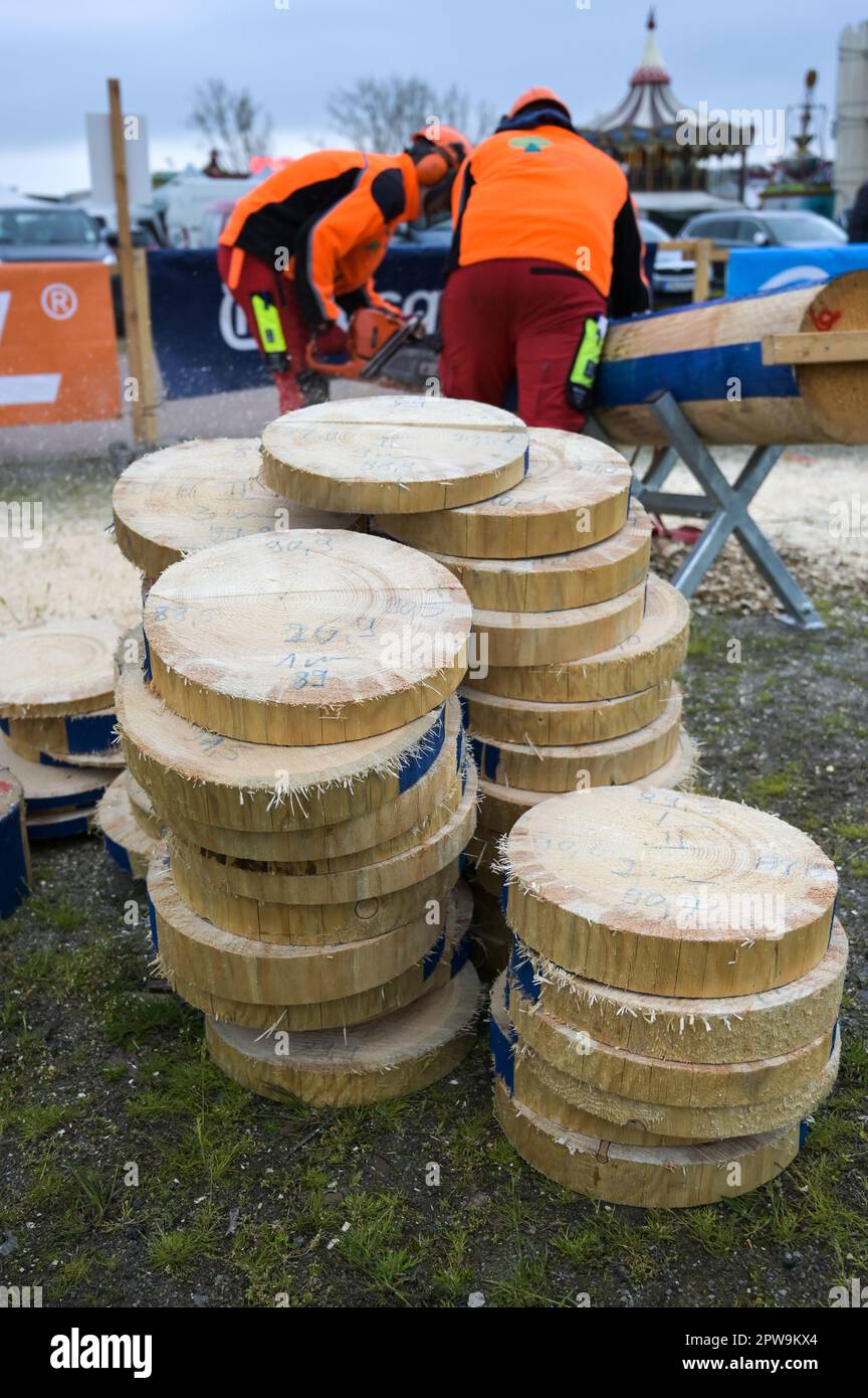 Eisleben, Allemagne. 29th avril 2023. Tranches d'arbre de la combinaison de coupe de compétition. Aux Championnats Mansfeld Lumberjack 12th, 50 participants de toute l'Allemagne concourent dans un large éventail de disciplines. Credit: Heiko Rebsch/dpa/Alay Live News Banque D'Images