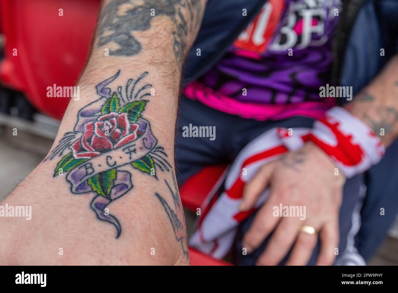 Un supporter présente son tatouage de Bristol City lors du match de championnat Sky Bet Bristol City contre Burnley à Ashton Gate, Bristol, Royaume-Uni, 29th avril 2023 (photo de Craig Anthony/News Images) Banque D'Images