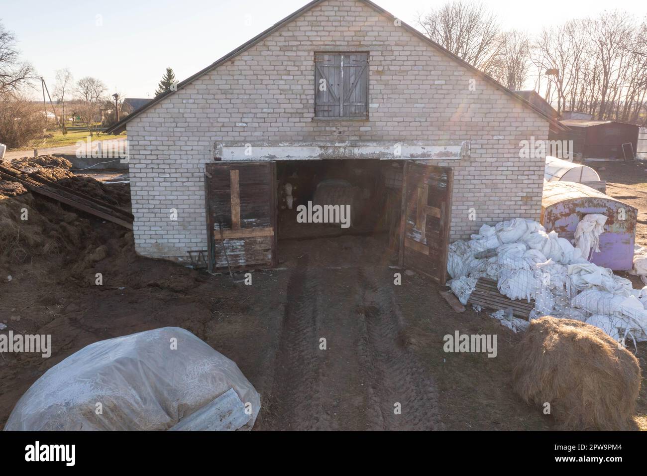 Photographie par drone d'un tracteur portant des balles de foin dans le hangar avec des animaux de ferme au cours de la matinée du printemps. Banque D'Images