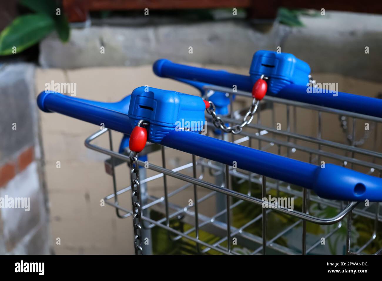 Chariots dans le parc aquatique, à proximité Banque D'Images