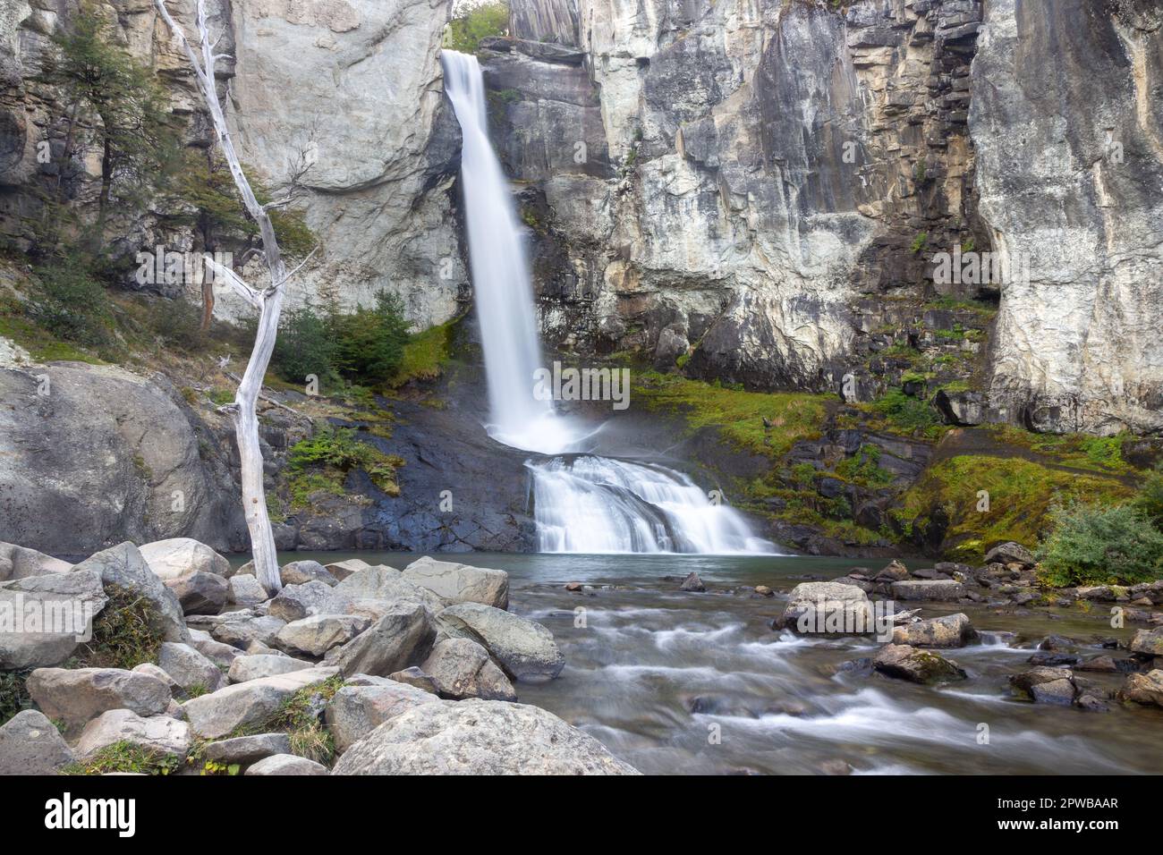 Chorrillo Del Salto Cascading Waterfall gorge, El Chalten. Randonnée pittoresque dans la forêt, magnifique paysage du parc national de Los Glaciares, Patagonie Argentine Banque D'Images