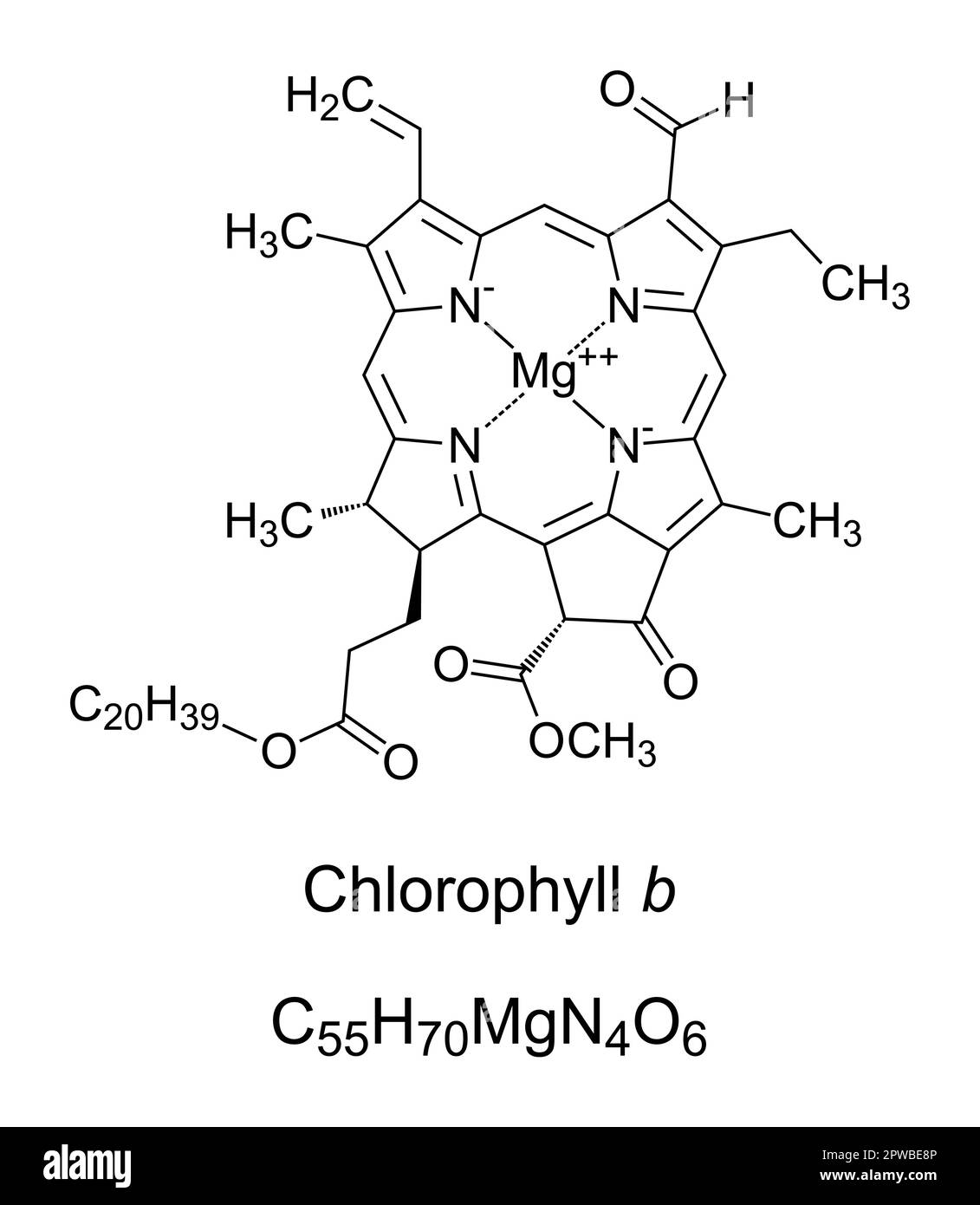 Chlorophylle b, utilisée par les plantes pour la photosynthèse, la structure chimique Illustration de Vecteur