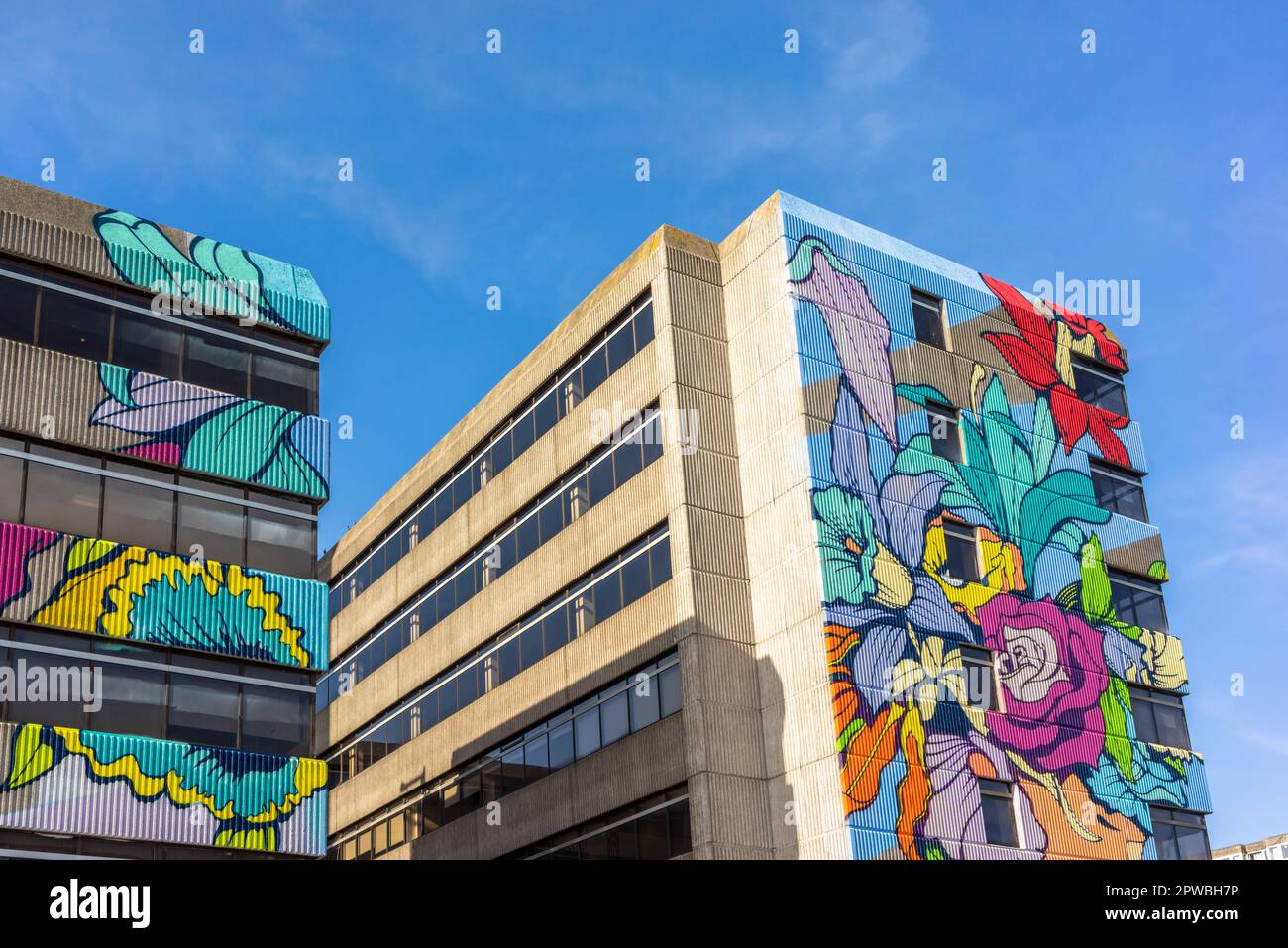 Southampton, Royaume-Uni. 29 avril 2023. Une fresque « air pur » est en cours de peinture sur un bâtiment pour aider à lutter contre la pollution dans la ville, Nelson Gate est transformé en ampoule. L'immense fresque mangeuse de carbone est la plus grande murale publique du Royaume-Uni et a été créée par l'artiste de rue français Nerone, en utilisant la peinture d'absorption Graphenstone C02. Banque D'Images