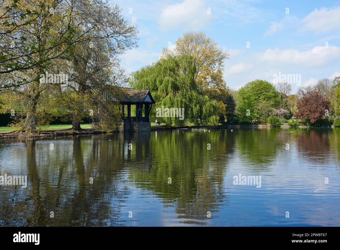 Broomfield Park, Palmers Green, Londres, Royaume-Uni, au printemps, avec lac et pergola Banque D'Images