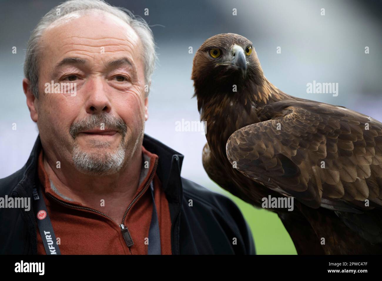 ATTILA, aigle, mascotte d'Eintracht Frankfurt, avec son falconer Norbert LAWITSCHKA Soccer 1st Bundesliga, 30th jour de match, Eintracht Frankfurt (F) - FC Augsburg (A) 1: 1 sur 29 avril 2023 dans le parc de la Deutsche Bank à Francfort/Allemagne. #La réglementation DFL interdit toute utilisation de photographies comme séquences d'images et/ou quasi-vidéo # Banque D'Images