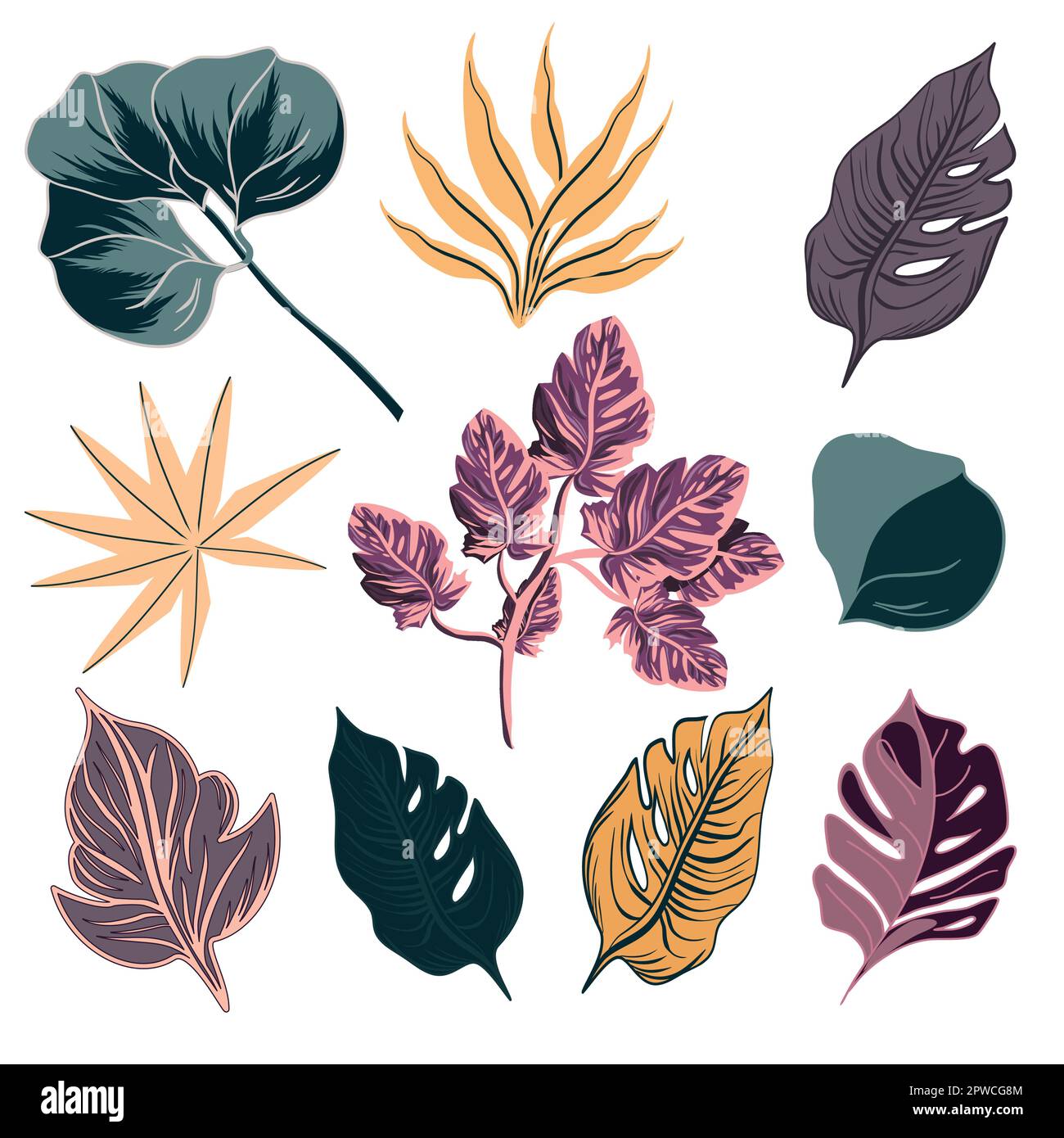 Ensemble de feuilles exotiques tropicales illustration vectorielle Illustration de Vecteur