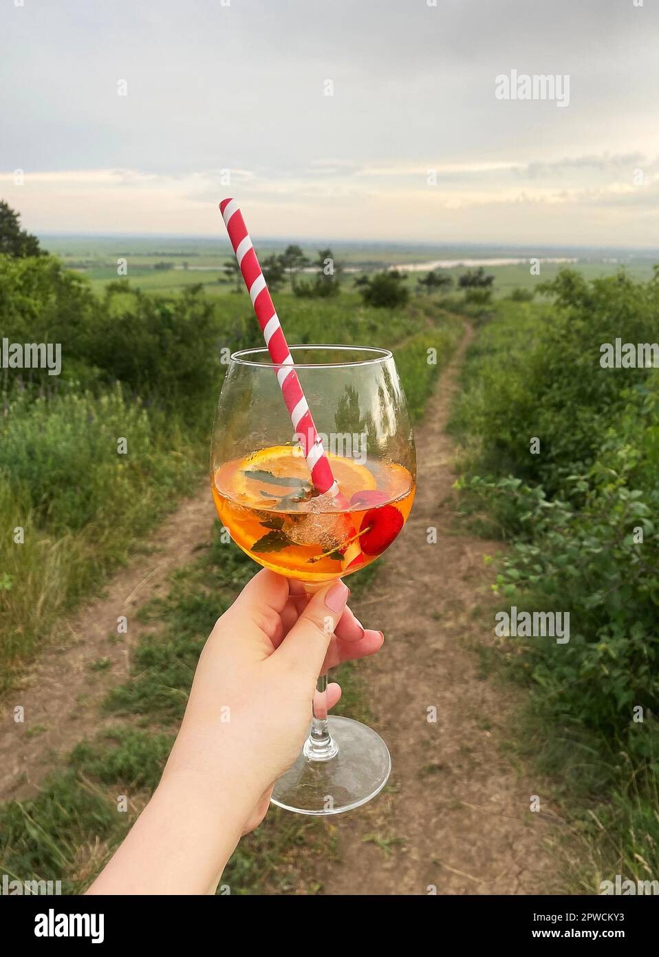 Femelle méconnaissable portant un verre de cocktail avec des fruits et de la paille le soir dans la nature Banque D'Images