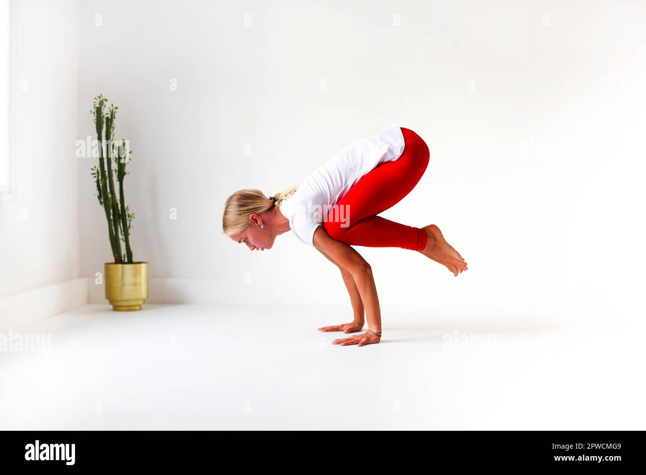 Vue latérale de la femme calme dans les vêtements de sport pratiquant le yoga en posture tout en équilibrant sur les bras et en regardant loin Banque D'Images