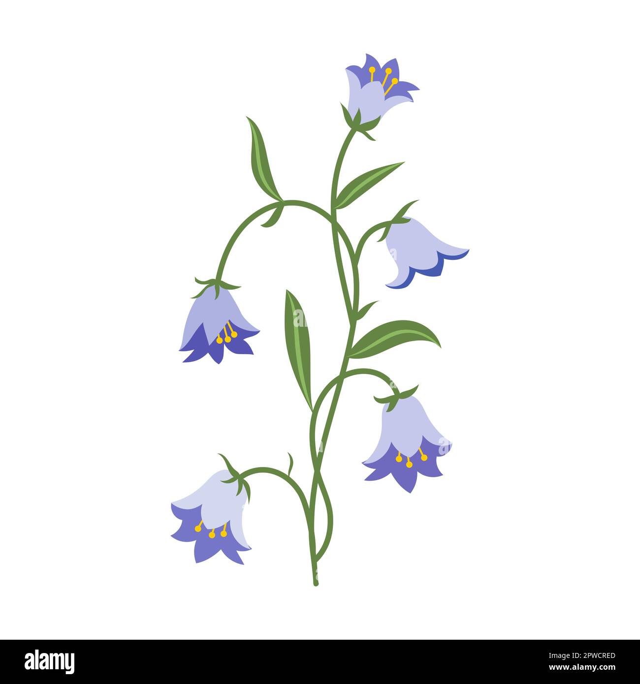 Sky Bell Illustration du vecteur de fleur sauvage. Fleurs de prairie ou de champ, buttercup jaune et pissenlit, cloches, coquelicots isolés Illustration de Vecteur