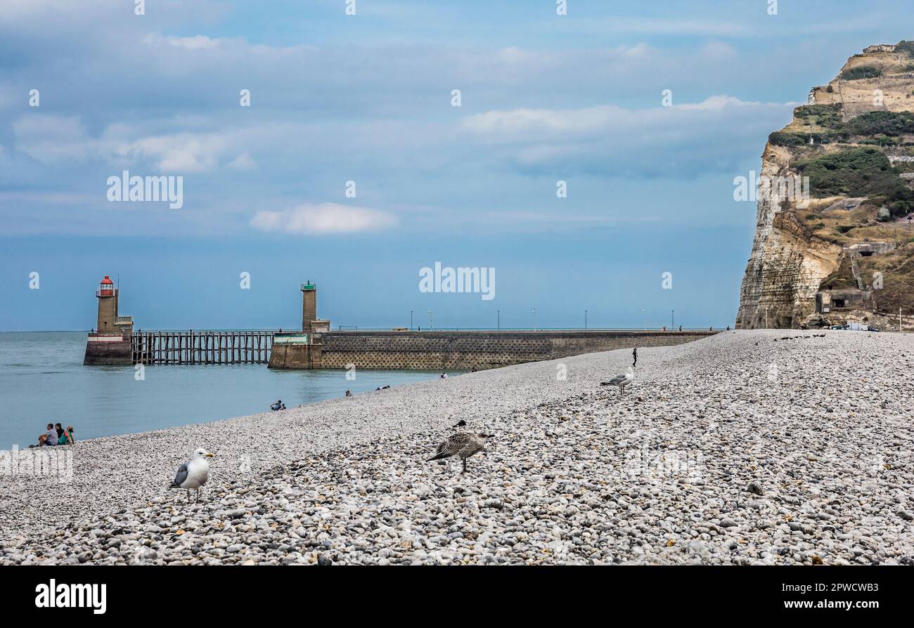 Phare de Fecamp, phare de Pointe Fagnet, entrée du port de Fécamp, vue de la plage portuaire, pays de Caux, Seine-Maritime, Normandie Banque D'Images