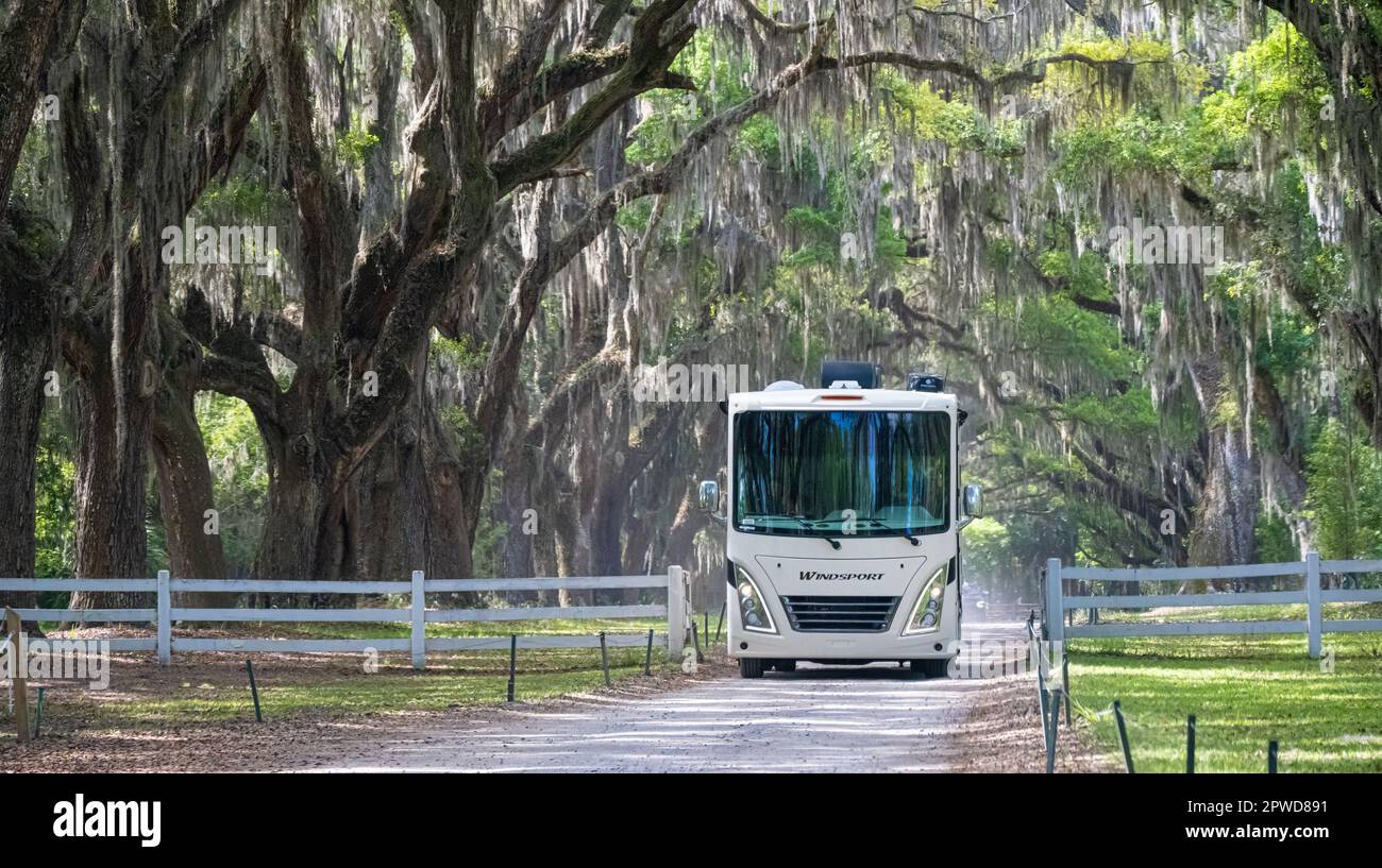 Camping camping-car sur une allée couverte d'arbres de chênes anciens vivants et de mousse espagnole au site historique de Wormsloe à Savannah, Géorgie. (ÉTATS-UNIS) Banque D'Images