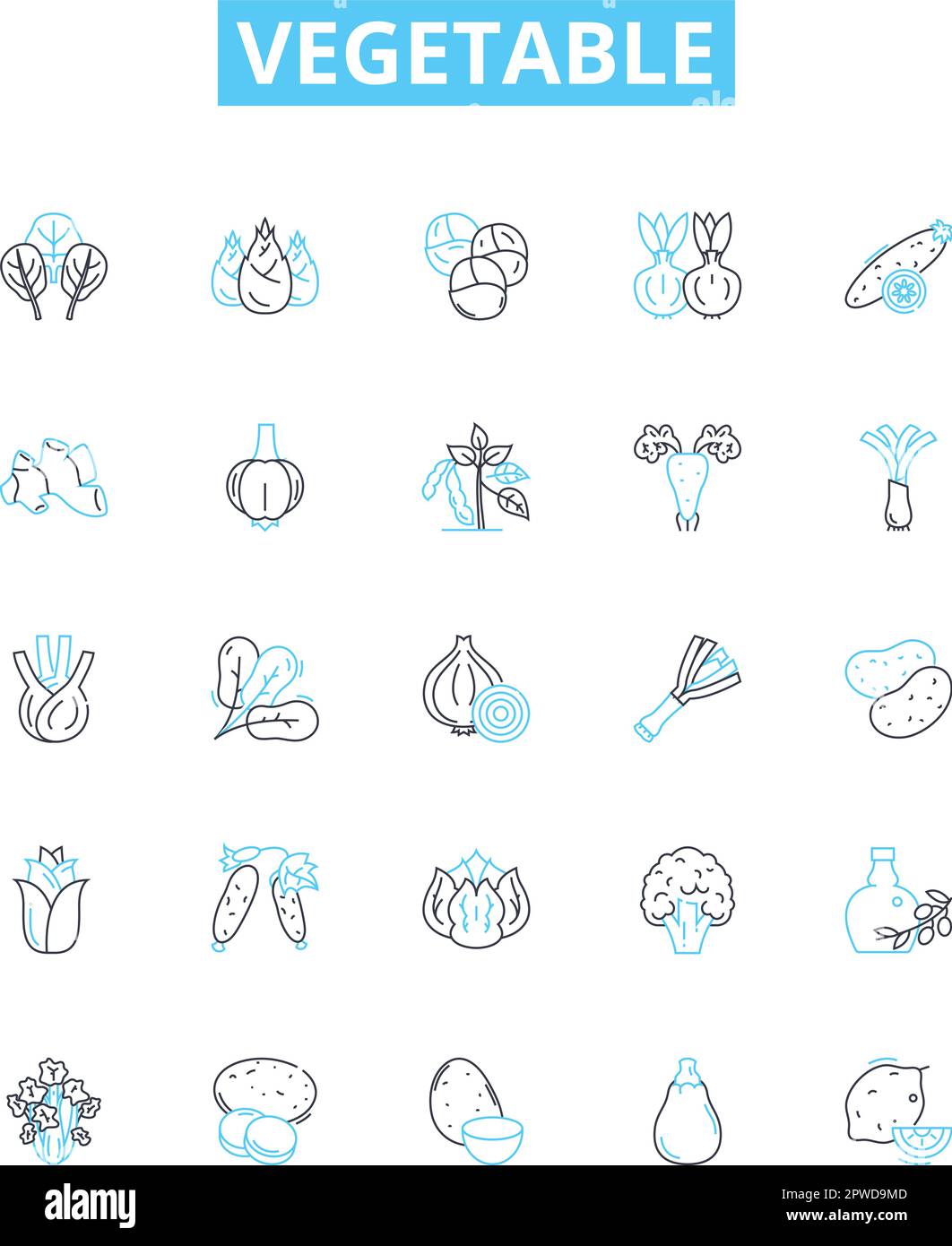 Jeu d'icônes de lignes vectorielles végétales. Pois, carottes, céleri, pommes de terre, brocoli, Radis, illustration de Celeriac, présentent les symboles et les signes du concept Illustration de Vecteur