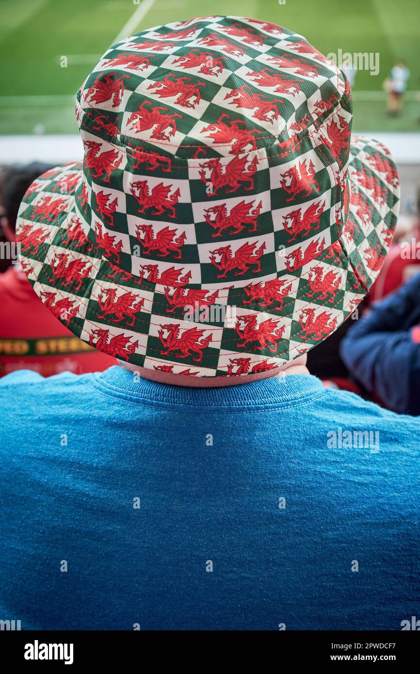 Rugby fan with hat Banque de photographies et d'images à haute résolution -  Alamy