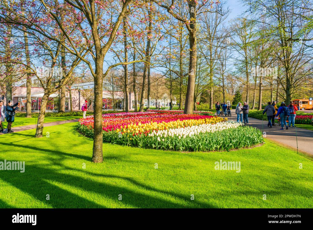 LISSE, HOLLANDE - 19 AVRIL 2023 : les visiteurs apprécient les tulipes en fleurs dans le parc de Keukenhof, l'un des plus grands jardins de fleurs du monde populaire auprès des touristes Banque D'Images
