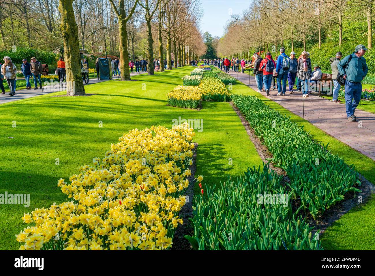 LISSE, HOLLANDE - 19 AVRIL 2023 : les visiteurs apprécient les fleurs du parc Keukenhof, l'un des plus grands jardins fleuris du monde Banque D'Images